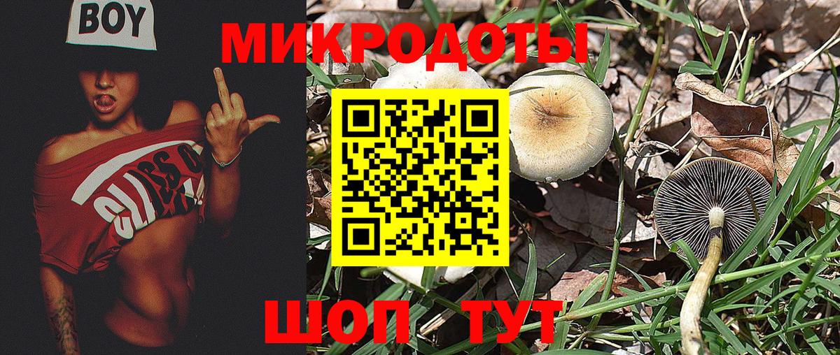 Галлюциногенные грибы Magic Shrooms Йошкар-Ола