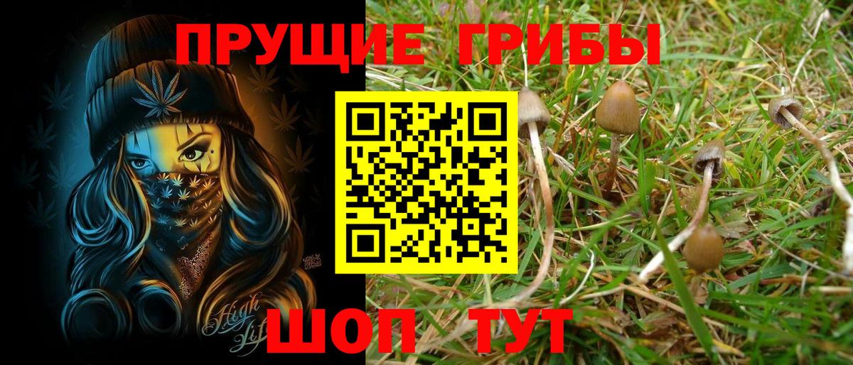 как найти   Галлюциногенные грибы прущие грибы  Вход с VPN  Йошкар-Ола 